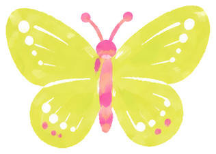 羽を広げた蝶の標本イラスト