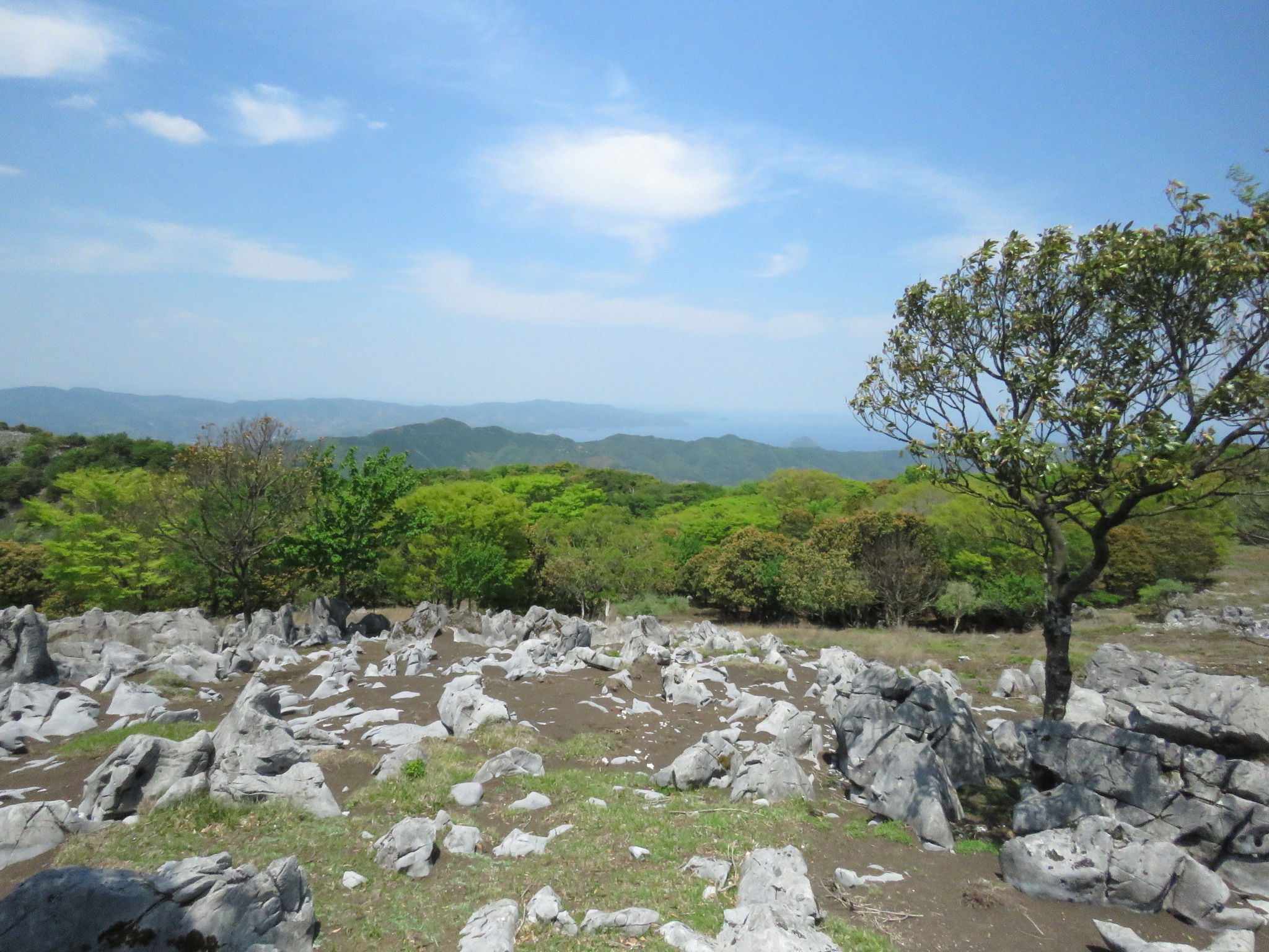 碁盤ヶ岳のカルストと緑の山々