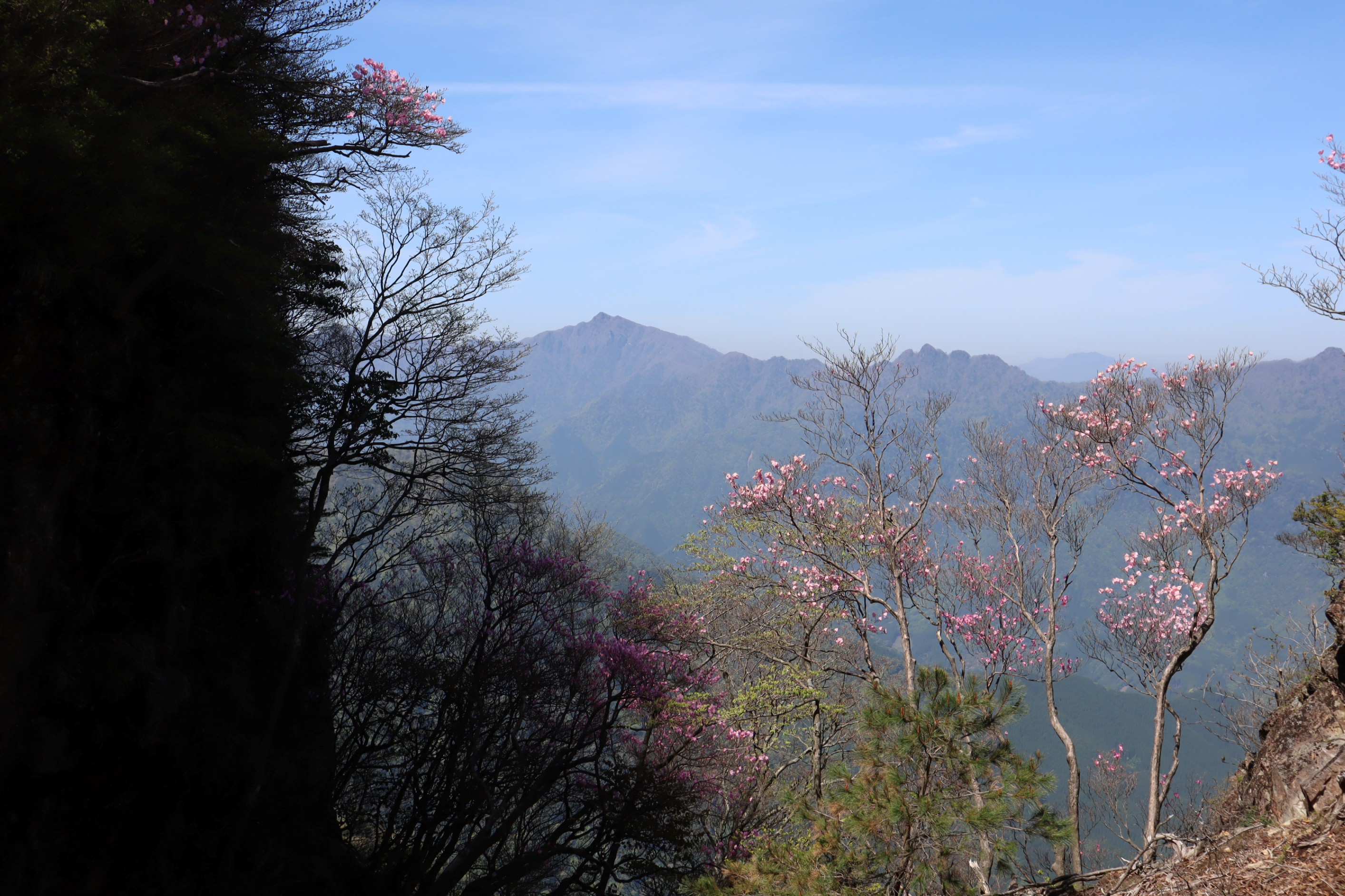 傾山から祖母山を望む景観